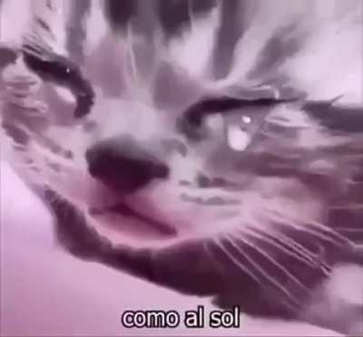 Muy triste