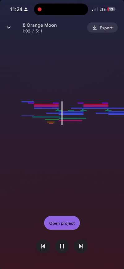 WIP song