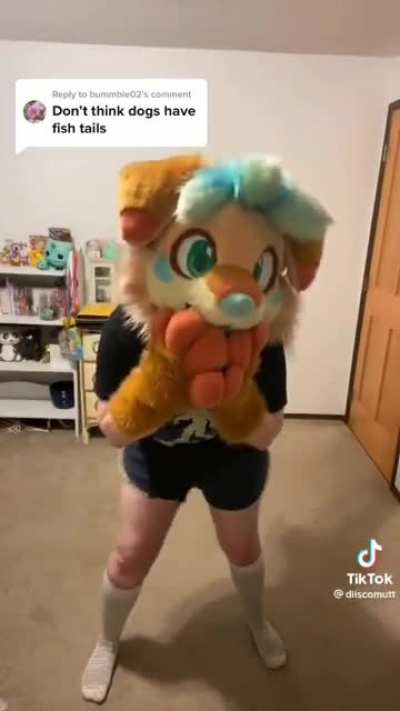 Tail_irl