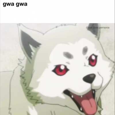 gwa gwa