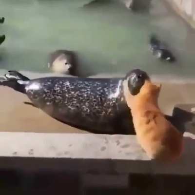'-'