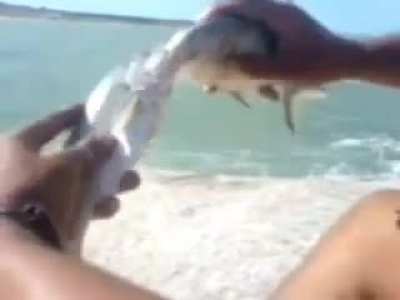 fish