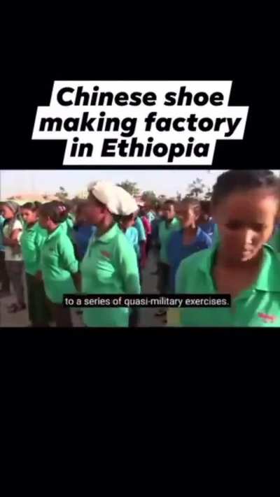 Now we have a representative for Eastoid colonizers.
