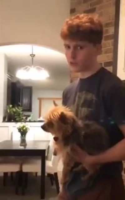 Dog