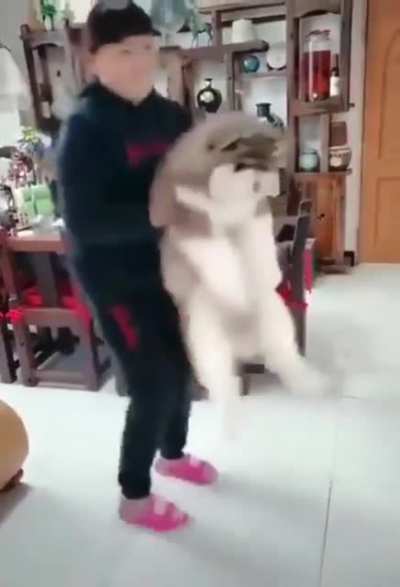 Road to the ultimate floof