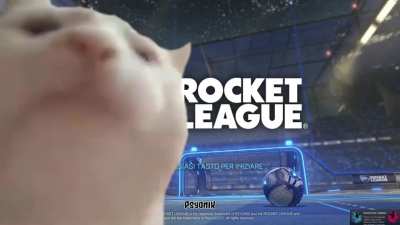 Me everytime i open Rocket League