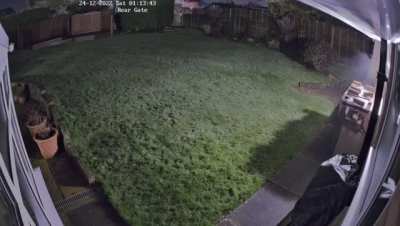 Neighbours CCTV Caught something strange, just looking for an explanation