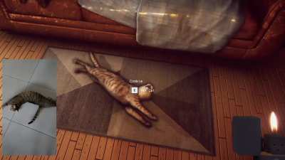 This is my Fatal-Frame inspired horror game that I just released recently, where you have to take pictures of ghost anomalies and pet your cat to restore your sanity. What do you think?