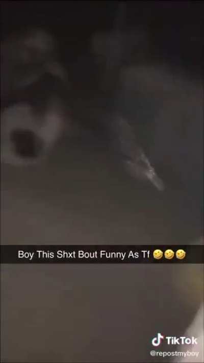NEVER SAW A MF GET FUCKED UP BY A DONKEY😂😂