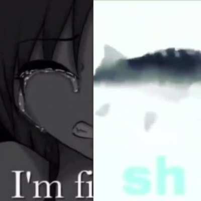 I AM FISH