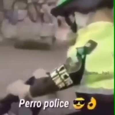 Perro polic&iacute;a