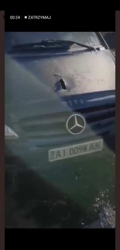 Russian invaders killed civilian family and dogs