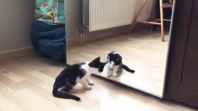 Stop copying me