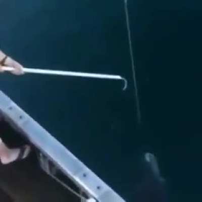 some good ol fishing
