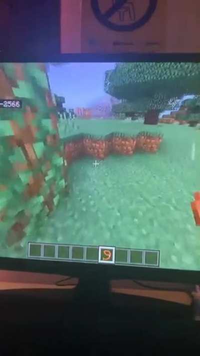 Hello and welcome guys to today's episode of "Wholesome Minecraft moments"
