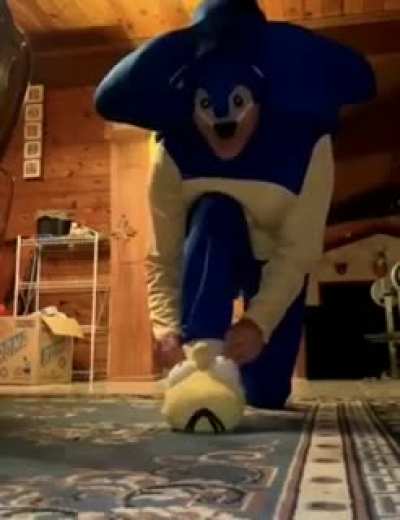 SUPER SANIC
