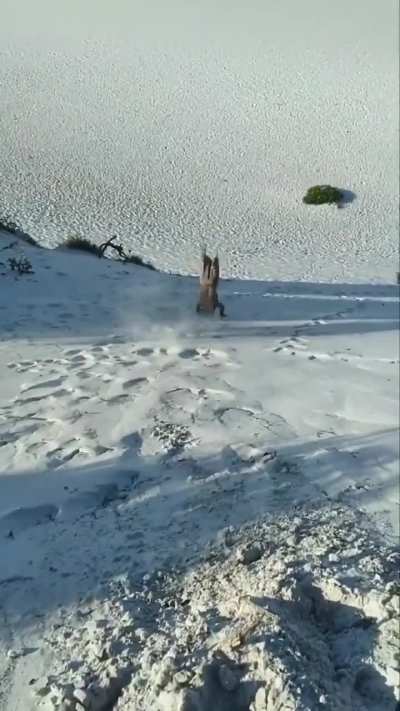 &eacute; praia