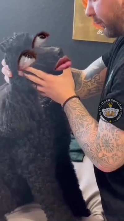😂😂😂