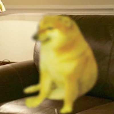 Cheems ascension