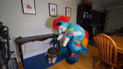 Plush_irl