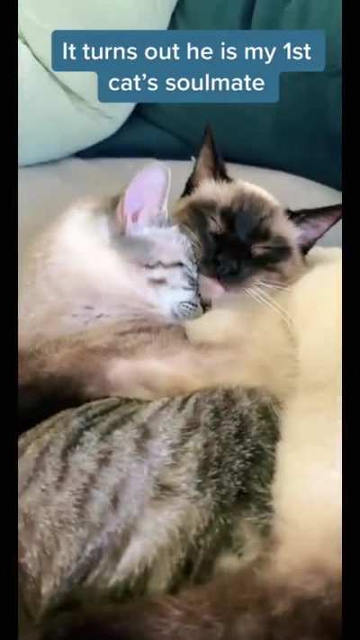 Soulmates