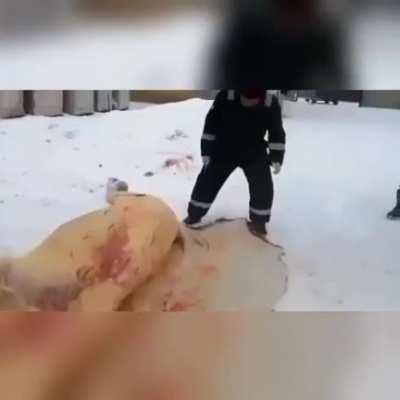 Эх, судьбинушка