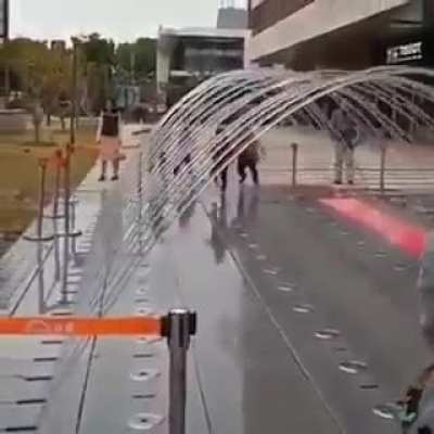 Follow the leader