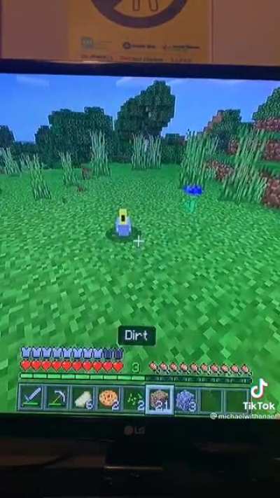 rip