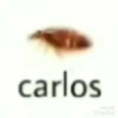 Carlinhos t&aacute; on 😳