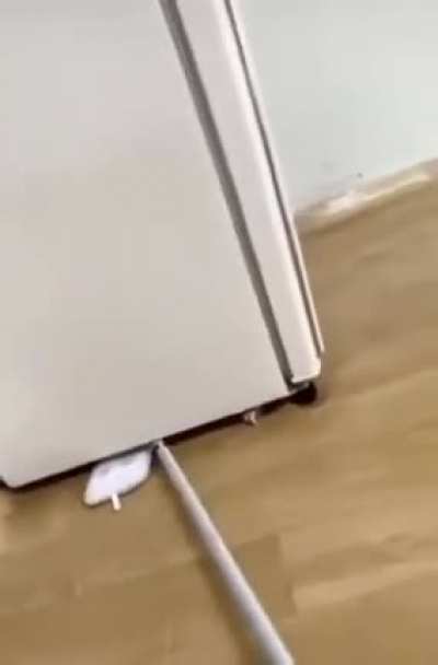Don&rsquo;t forget to clean the dust under your fridge