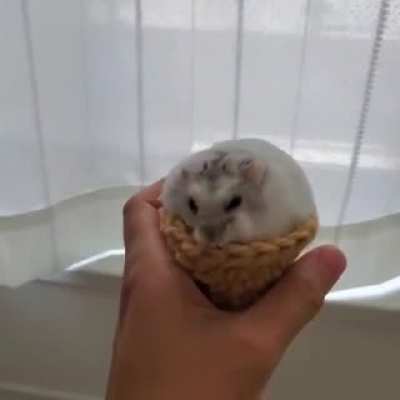 Ice cream🍦