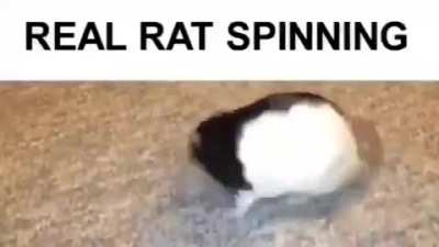 Spin :D