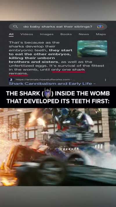 "do baby sharks eat their siblings?"