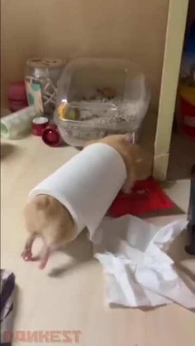 Maybe maybe maybe