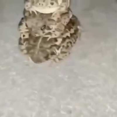 Pillar of frogs