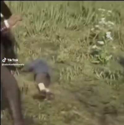 Why are they beating up the rat? Are they smart?
