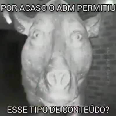 Algu&eacute;m sabe o link?
