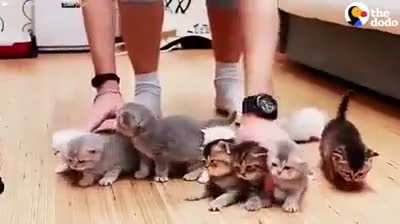 Şu &uuml;&ccedil;&uuml;n&uuml; birden &ccedil;ekmesi en sevdiğim kısım:)