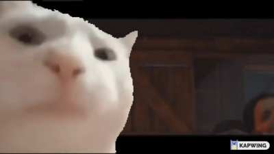 Me when the background music kicks in