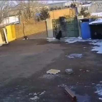 Run dude