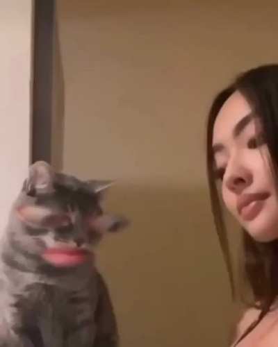 shitposting - Video #3405