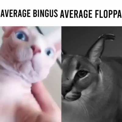 Title
