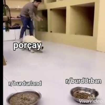 por&ccedil;ay cinsel ihtiya&ccedil;larını karşılıyo