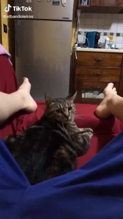 "Are you serious?" [Sound on]