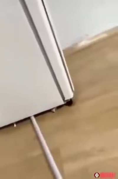 Cleaning under the fridge