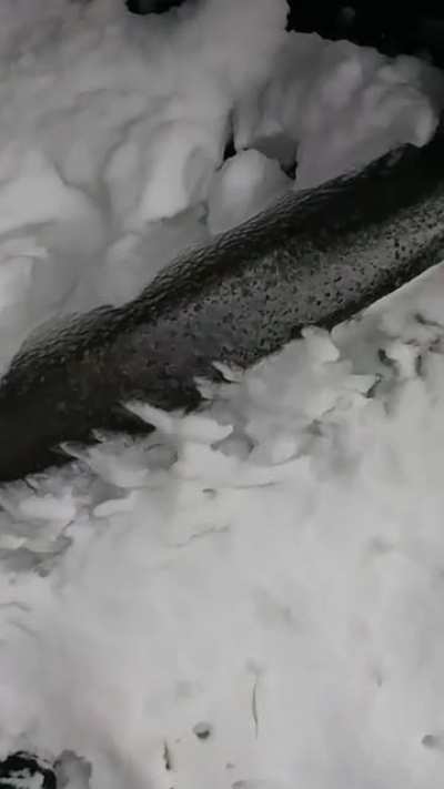 Hard frost