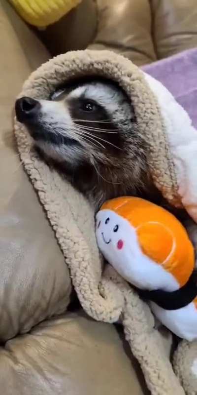 So cozy and warm...