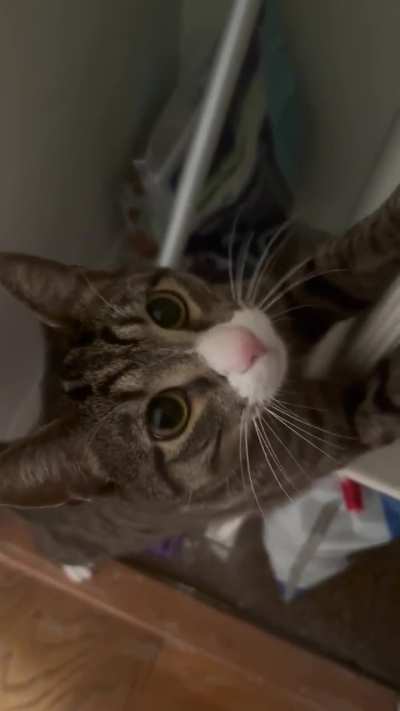 do you think he wants breakfast