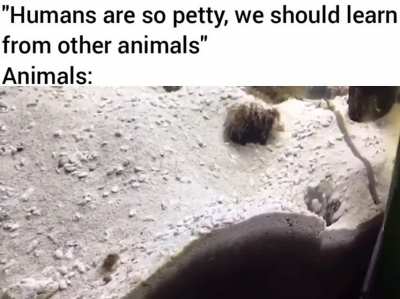 rule