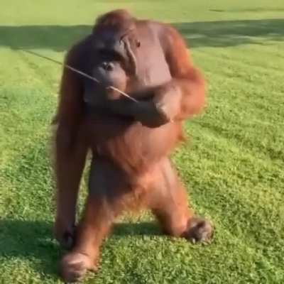 got damn look at this muffanga 👀😍😅 uncle terry&rsquo;s had some rough times but he&rsquo;s still fly as fuck 🪰🤯😳